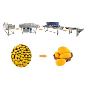China SS304 Vegetable And Fruit Washing Machine Mango Processing Line on sale