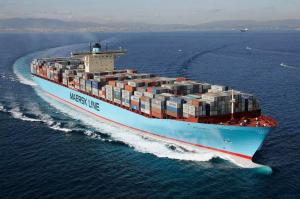 Best China To UK DDP Sea Shipping wholesale