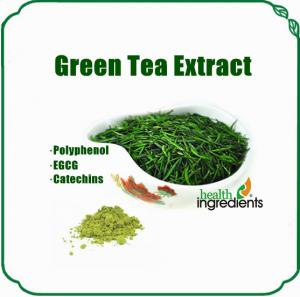 China organic Green Tea Extract Polyphenol EGCG Catechins caffeine powder on sale