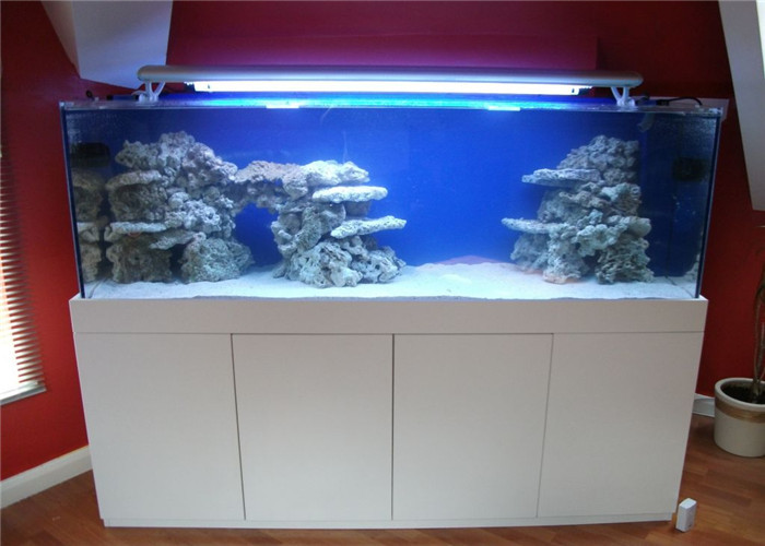 China Vacuum forming Small Acrylic Aquarium Tanks / Plexiglass Fish Tank on sale