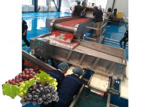 Best Concentrated  Grape Juice Processing Line / Fruit Juice Processing Equipment wholesale