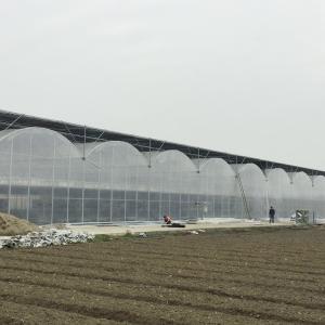 China Inner Shading System Side Ventilation Multi Span Greenhouse Automatic Control on sale
