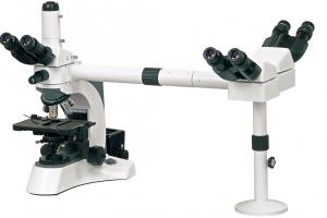 Best BestScope BS-2080MH6 Halogen Lamp Binocular Head Microscope , LED Video Microscopy wholesale