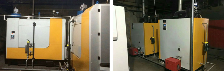 100kg wood chip industrial biomass steam boiler for Industrial production