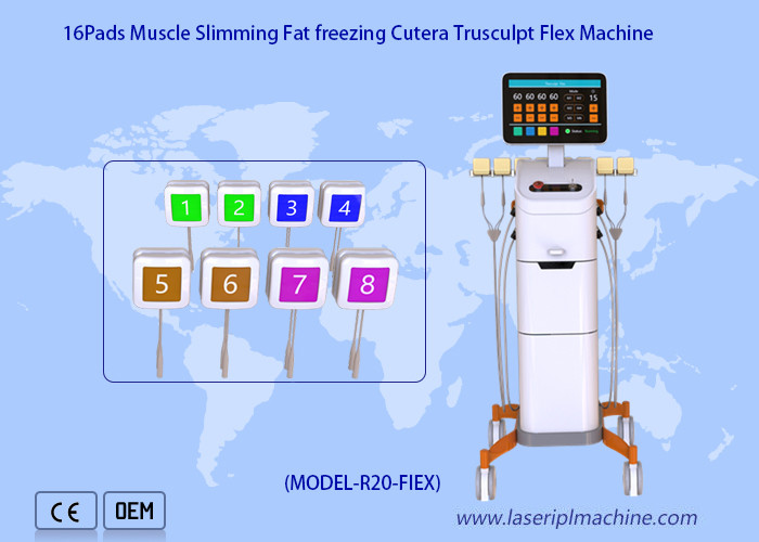 Cheap 2mhz Monopolar Radio Frequency Machine Weight Loss Cellulite Removal Trushape Flex for sale