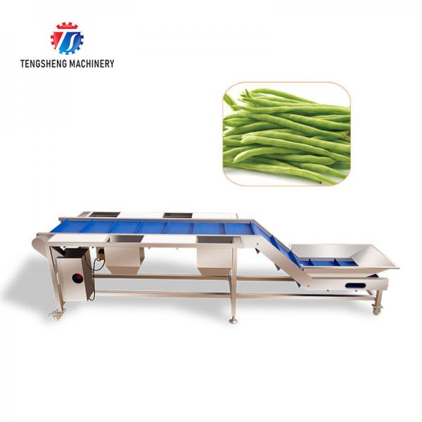 Cheap Industrial Automatic Leafy Vegetable and Fruit Lifting Sorting Table Machine for sale