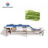 Buy cheap Industrial Automatic Leafy Vegetable and Fruit Lifting Sorting Table Machine from wholesalers