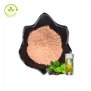 China ISO Free Samples Instant Green Tea Powder 20%Polyphenols Health Food Water Soluble Organic Green Tea Extract on sale