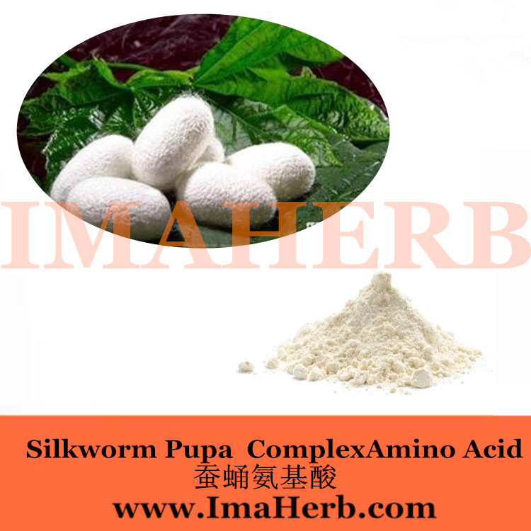 China Best Price silk protein powder from Felicia@imaherb.com  Silkworm pupa amino acids on sale