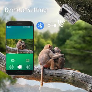 China KW865 WIFI Hidden Camera For Outdoor Wireless Hunting Camera Trail Camera That Sends Pictures To Your Phone on sale