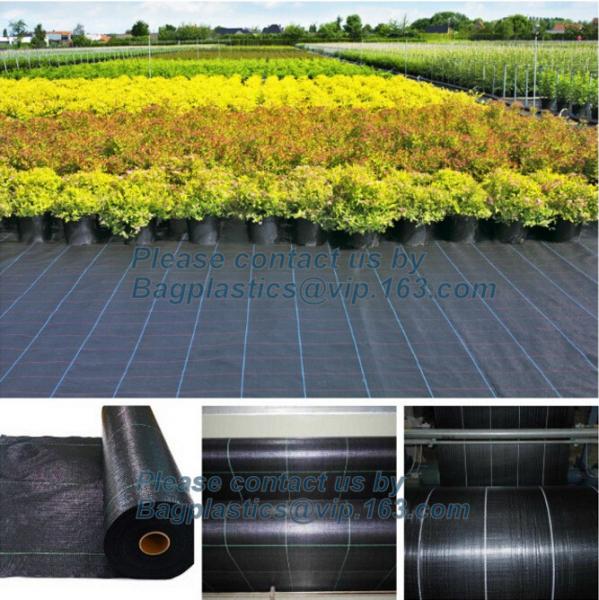 Supply heavy duty 100% virgin anti grass weed barrier/garden weed barrier cloth/agricultural ground cover mesh with UV r