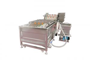 China Factory Price High Pressure Water Flow Air Bubble Vegetable Tomato Carrot Cleaning Machine on sale