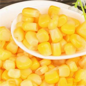 China 425g Sweet Corn Kernels Canned FDA GMO Cultivation HALAL Certification on sale