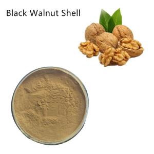 China Solvent Extraction Pure Plant Extracts Black Walnut Shell Powder on sale