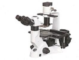 Best BestScope BS-7000B Fluorescent Microscope , Trinocular Microscopes wholesale