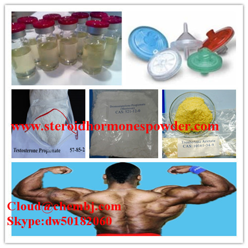 China Injectable Semi Finished Oily Steroid Liquid USP Equi Test 450mg/ml on sale