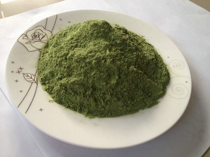 China Wheat Grass Juice Powder Wheat Chlorophyll Real Manufacturer Supply on sale