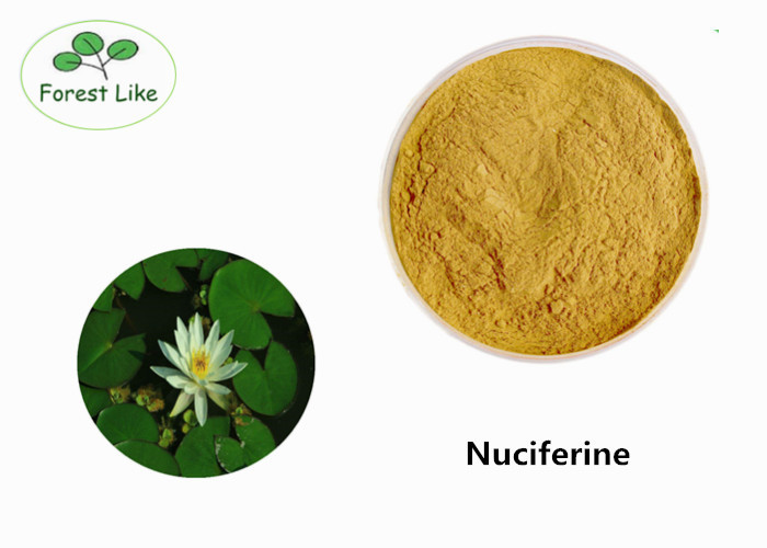 China Food Grade P.E. Natural Weight Loss Powder Lotus Leaf Extract 20% Nuciferine on sale