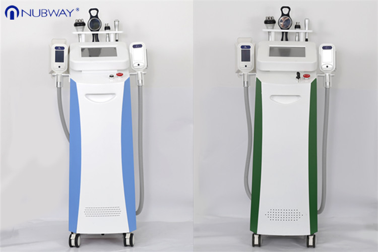 China 2018 the newest 5 treatment effect handles rf cavitation cryolipolysis cold laser fat removal machine on sale