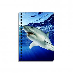 Best 0.6mm Thickness Plastic Cover Spiral 3D Lenticular Notebook 80 Pages A4/A5/A6 Size wholesale