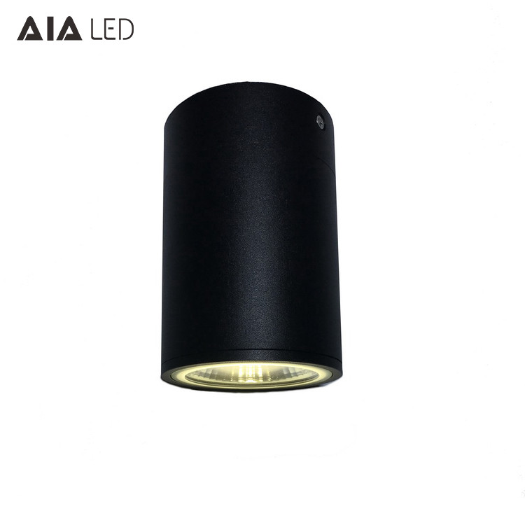 Best Inside IP65 waterproof black 20W COB LED downlight&LED light for bathroom wholesale