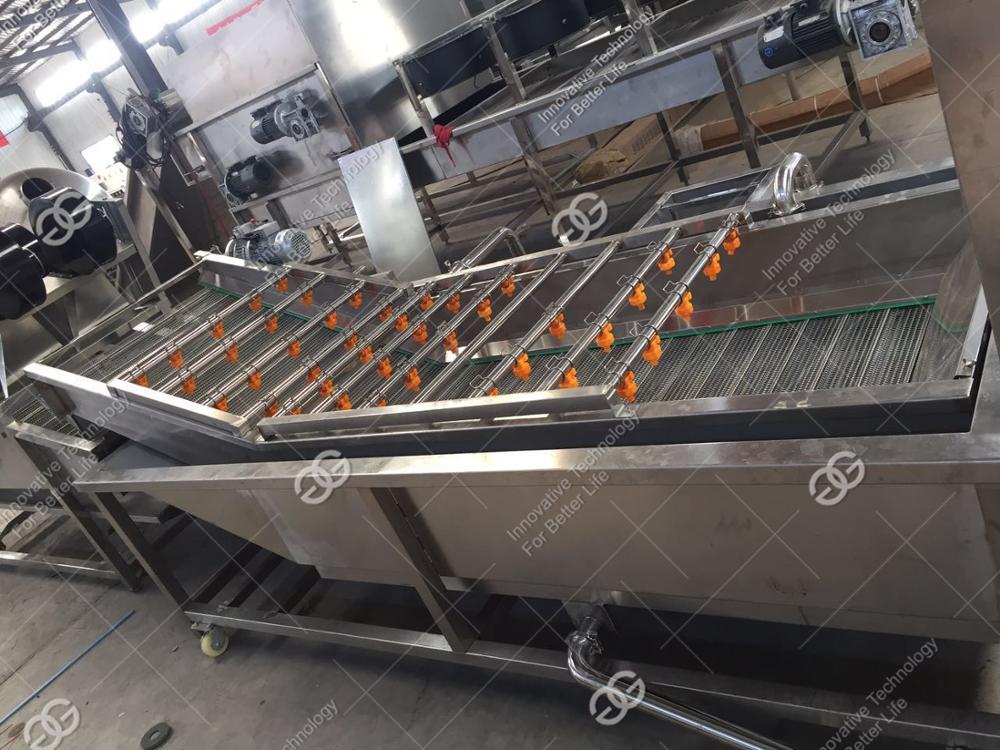 High Quality Professional Cherry Tomato Bubble Washing Grapes Washer Leafy Vegetable Fruit Cleaning Machine