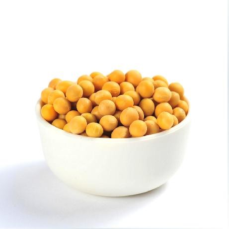 Buy cheap Top quality soybean for sale NON GMF from wholesalers