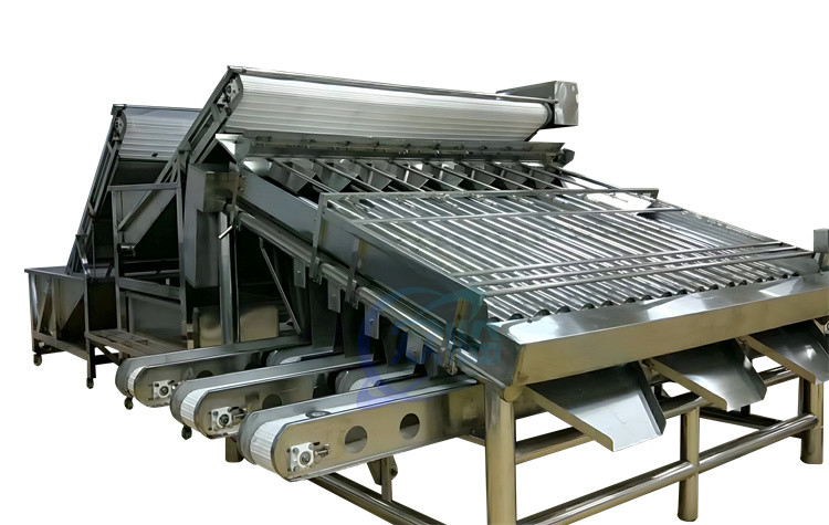 China Roller Shrimp Grading Machine Multipurpose Stainless Steel Material on sale