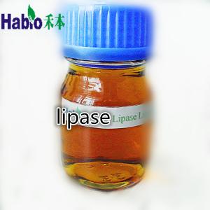 Best lipase enzyme for leather industry wholesale