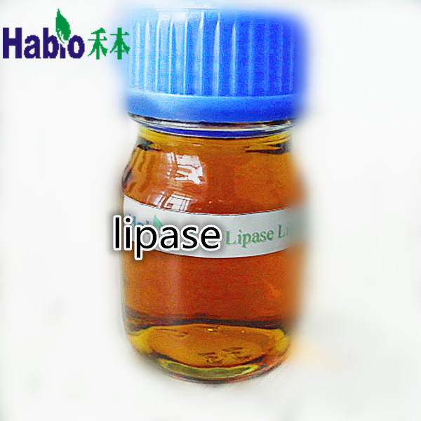 Buy cheap lipase enzyme for leather industry from wholesalers