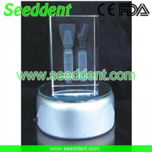 Best Incisor implant model with round stand wholesale