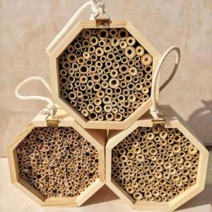 Best Wall Hanging Honey Bee Wooden Box 15cm*15cm*9cm Bee Keeping House wholesale