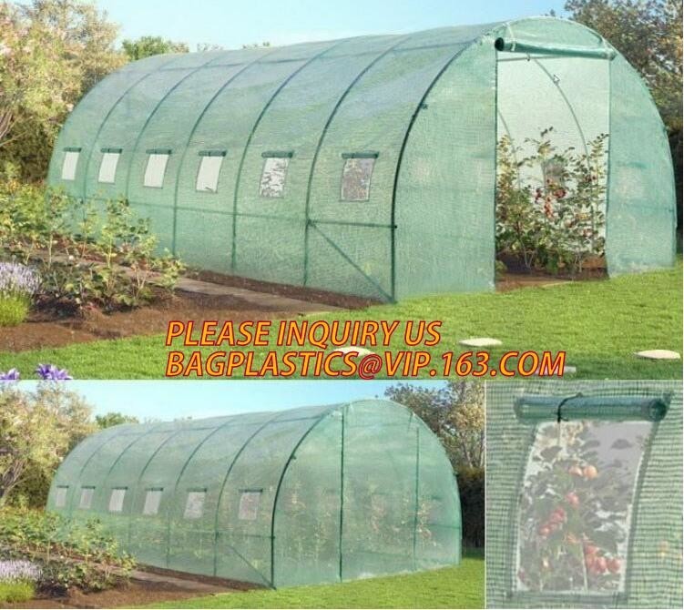 China Polycarbonate Plastic Sheet Agricultural Mini Garden Green House Walk In Dome on sale