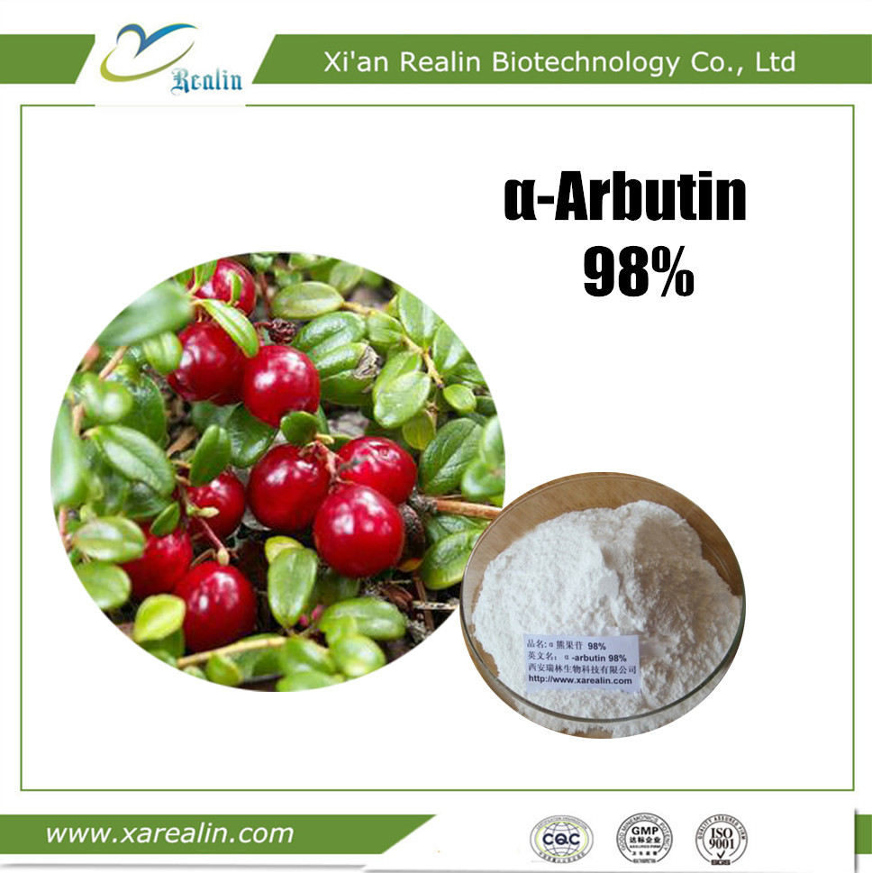Skin Care Bearberry Extract Pure Alpha Arbutin powder for skin whitening