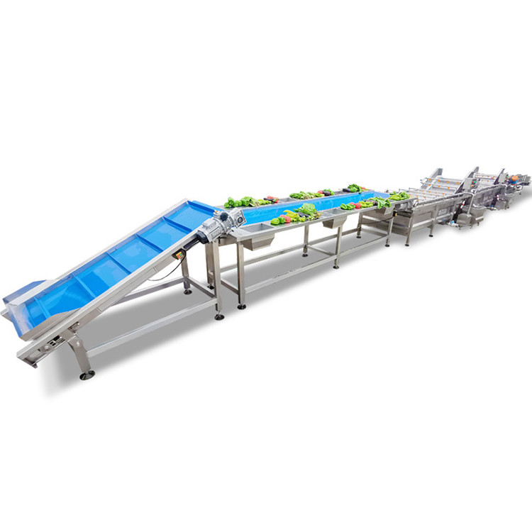 China Automatic Brush Type Potato Fruit And Vegetable Processing Line on sale