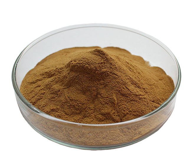 China Cas 90045-36-6 Ginkgo Biloba Extract Powder Leaf Circulatory Drugs Medical Raw Materials on sale
