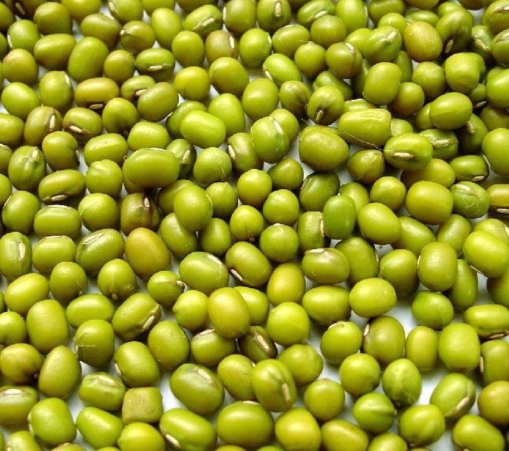 Buy cheap pure natural 2016 new crop green mung beans from wholesalers