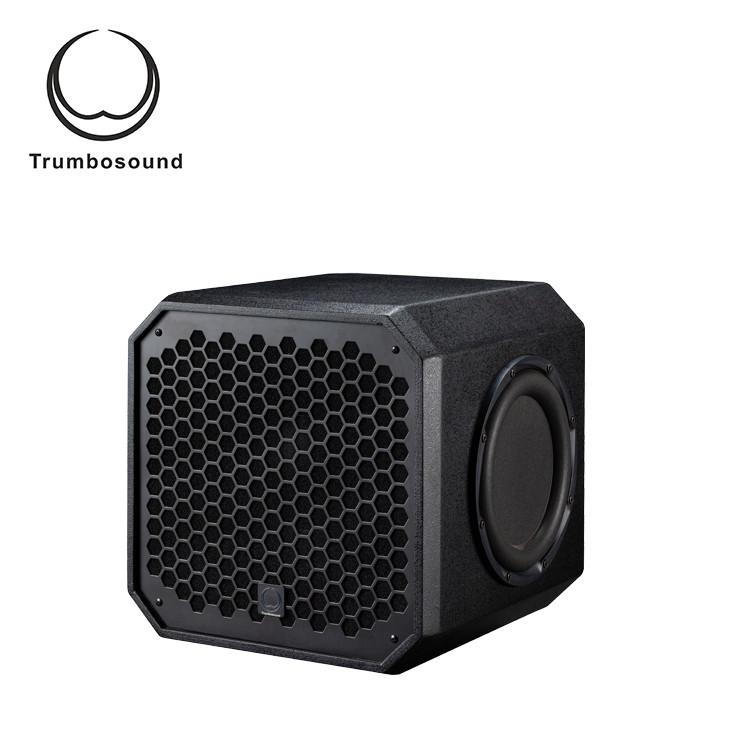 China 12 inch active bass loudspeaker home theater speaker indoor subwoofer speaker TR12BA on sale