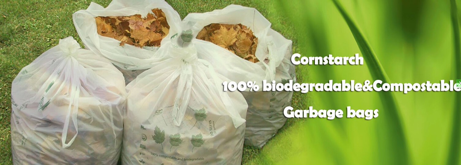 Fruit And Vegetable Bag Degraded One Year On Composting Condition, PLA, Compostable Plastic Bag, Flat Bag