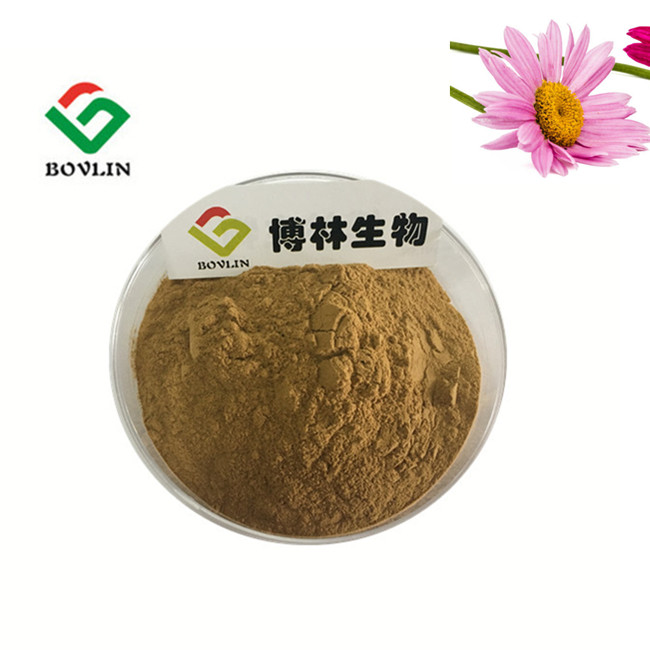 China Pyrethrum Extract pyrethrin Is Extracted From Pyrethrum Pyrethrum Extract Powder on sale