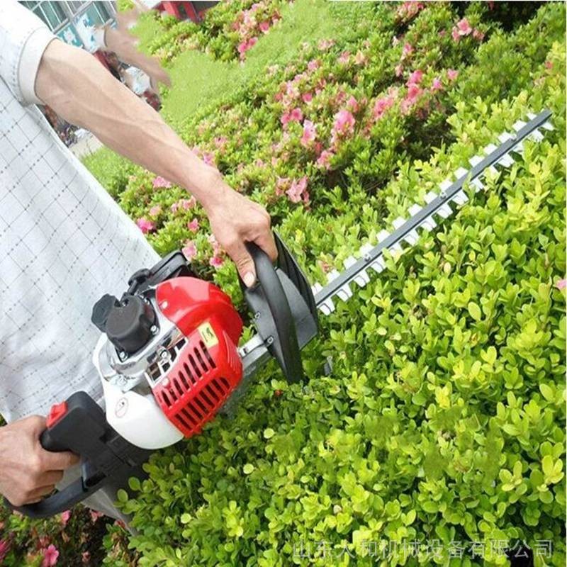 China hedge scissors shrub cutter shears Cordless Hedge Trimmer Dual Blade trimmer on sale