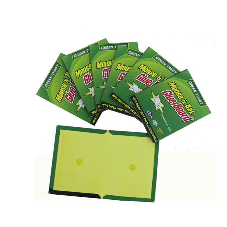 China Customized ODM Trapper Rat Sticky Mouse Glue Traps Green Yellow on sale