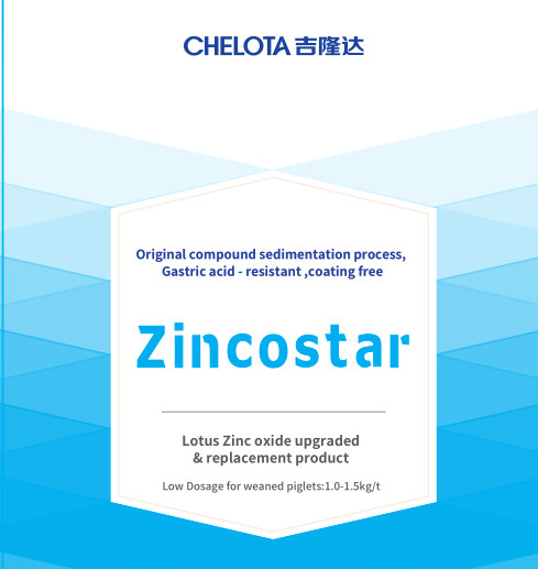 China Chelota Anti Bacteria Zinc Oxide Zincostar For Feed Additives on sale
