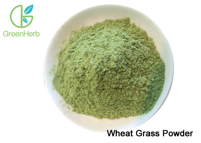 China 100% Natural Nutrition Supplement Wheat Grass Powder / Wheat Grass Juice Powder on sale