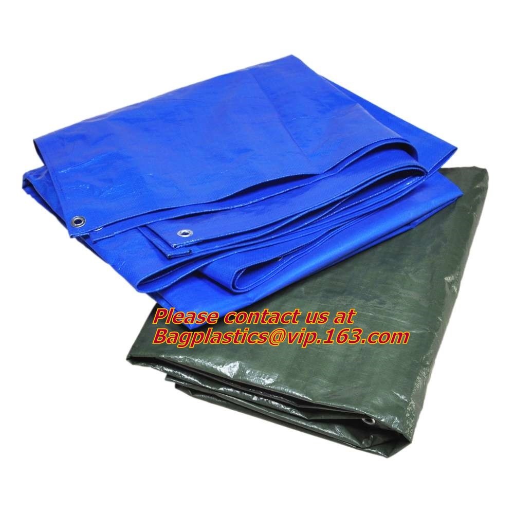 Organic Silicon Tarpaulin With All Sorganic Siliconcifications For Tent,Customized Cover Car Organic Silicon Tarpaulin T