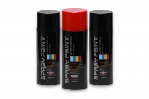 Best Colorful Acrylic Aerosol Spray Paint MSDS Fast Dry REACH TUV Certificated wholesale