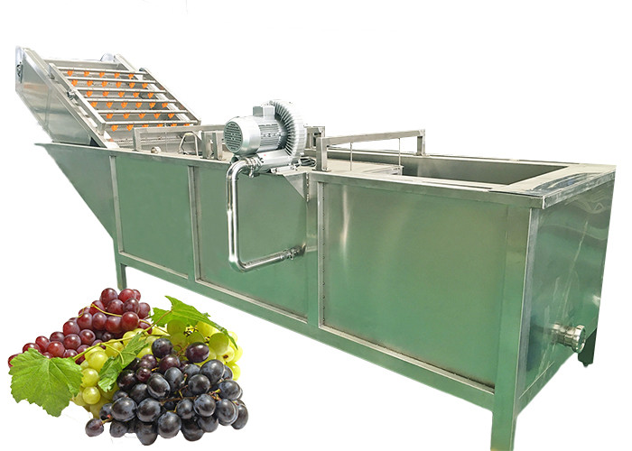 Best Efficient Fruit Juice Manufacturing Plant Raisin Making Low Energy Consumption wholesale