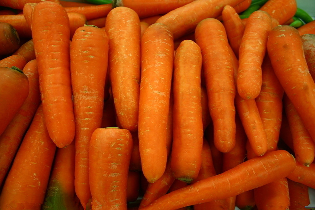 China Fresh carrot, frozen carrot, China vegetable, yellow big size on sale