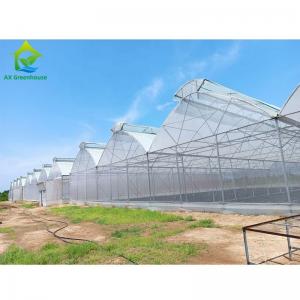 China Multi Span Aluminum Tunnel Greenhouse for Flowers Vegetables Plant on sale
