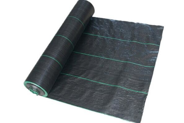 China Virgin PP Polypropylene Ground Cover / Black Weed Control Fabric For Agriculture on sale